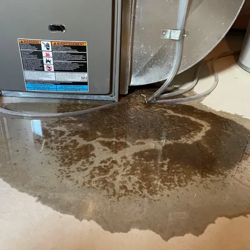 Appliance Leak Cleanup in Fruit Hill, OH